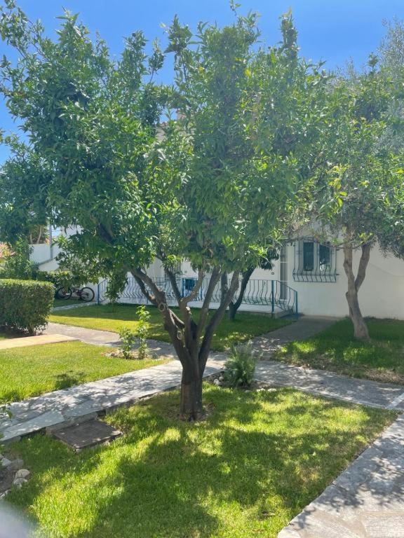 Three Sisters House Villa Мола Калива Екстериор снимка